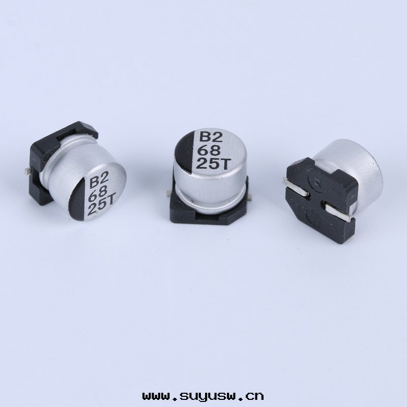 電(diàn)解電(diàn)容2